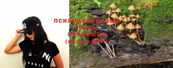 винт Тобольск