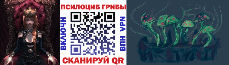 Купить  Новосибирск  Псилоцибиновые грибы прущие грибы 